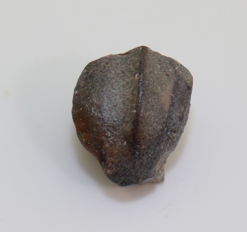 Saurier ouranosaurus - saurier,,