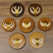 Wildschweinwaffen (Sus scrofa)