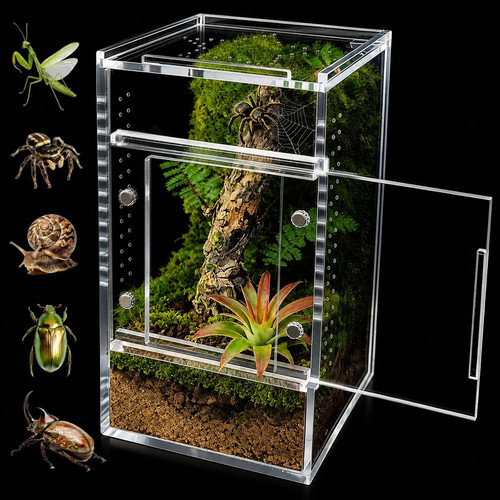 Springspinnen terrarium aus - springspinnen-terrarium,