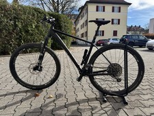 Radon Jealous AL 10.0 2020 (XL