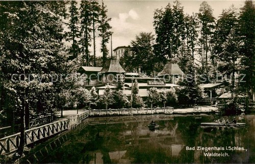 Bad ziegenhals oberschlesien - bad,