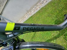 Damenrad Pegasus 5 Gang mit Korb Neuwertig Ca. 400km Gefahren Ca. 4 Jahre Alt