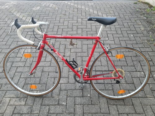 Pacific cycles action - cycles,