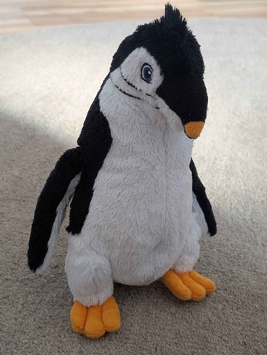 Juri pinguin schule der - juri,