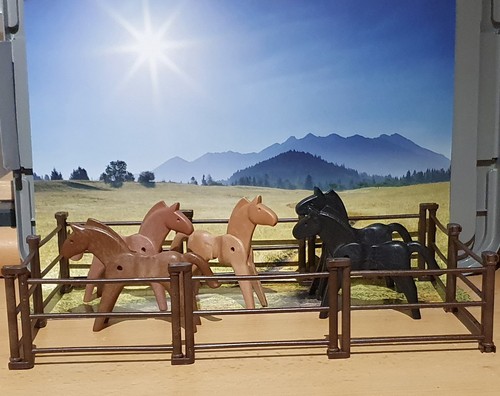 Playmobil western sammlung - playmobil,