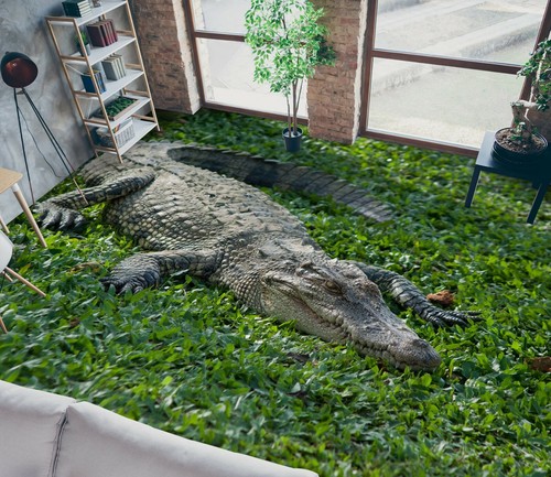 Krokodil 22107na - 3d,