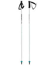 HEAD WORLDCUP SL Slalom Skistöcke 2024