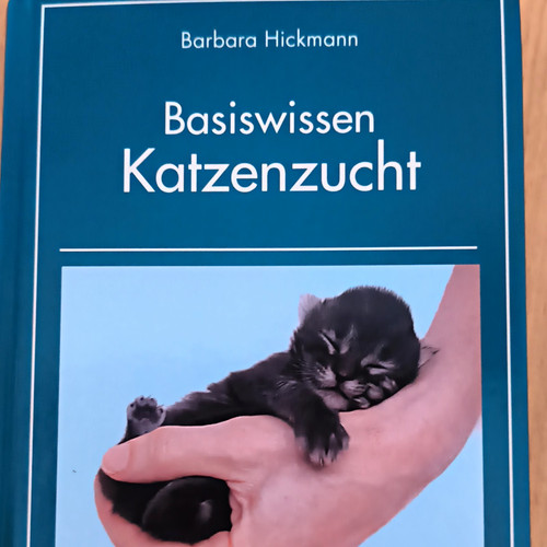Basiswissen katzenzucht - basiswissen,