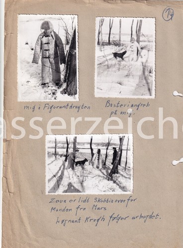 Original fotos militär - 6, 1956