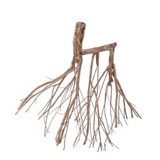 Aquarium Wurzel Deko