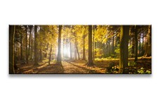 Verschiedene wandbilder 120x40 - wandbilder,