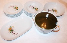 Kahla Geschirrset 16-teilig, DDR, Fleischplatte, Suppenterrine, 12 Teller, Salat