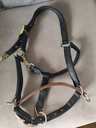 Halfter cob lederriemen - halfter,