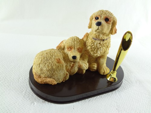 Hund labrador golden retriever - hund,