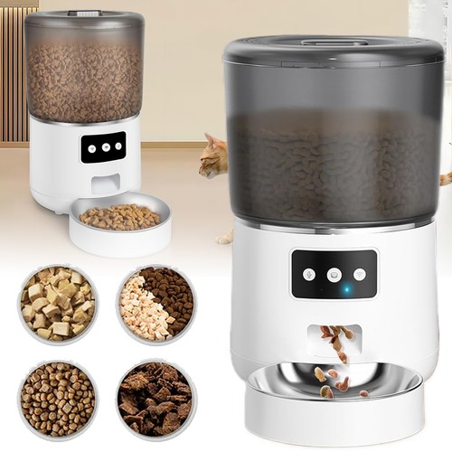 Lite katze hunde - 4,