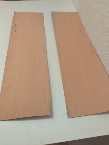 Blatt elbsbeere furnier - elbsbeere,