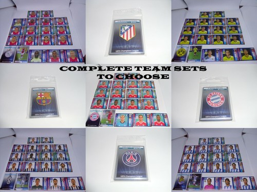 2013 2014 panini champions - panini,