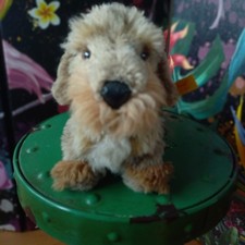 Rauhaardackel von Steiff, alt