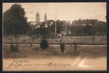 Freystadt /Schl., Blick zur Ortschaft vom Feld aus, Ansichtskarte 