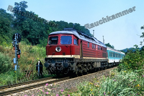 Fotoabzug 10x15 232 - 10x15,