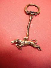 Greyhound Jagdhund Windhund