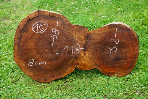 Baumscheibe xxl holzscheibe - xxl,