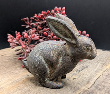 ❤️Kleines Häschen