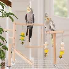 Papageienspielplatz