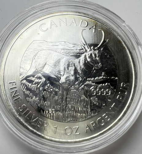 2013 canada dollars 1oz - 5,