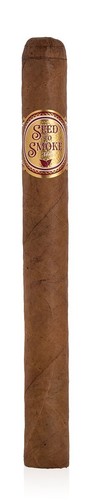 Rocky patel seed - seed, smoke