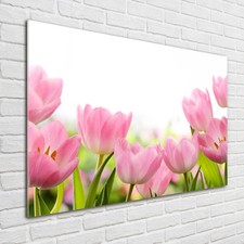 Glas bild wandbilder druck - glas-bild,