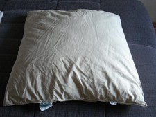 Daunen Kopfkissen 80x80 Top