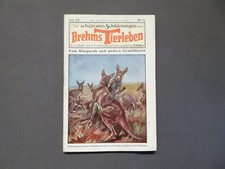 Die schönsten Schilderungen