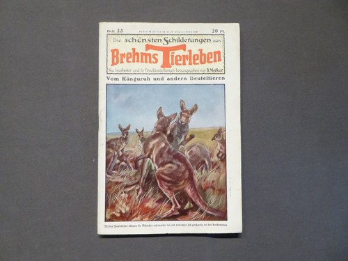 Die schönsten schilderungen - die,