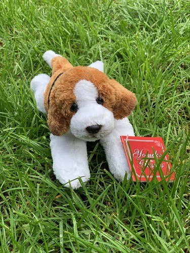 Russ berrie yomiko beagle - russ,