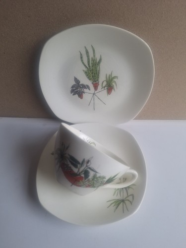 Midwinter plant life - life, tasse