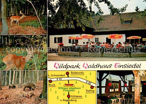 Nittenau wildpark waldhaus - nittenau,