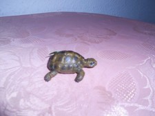 Schleich  Schildkröte