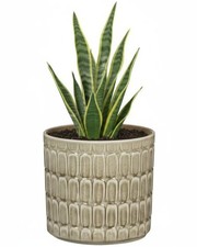 Scheurich Blumentopf Lagom Übertopf Gemustert Versch Farben & Größen Pflanztopf