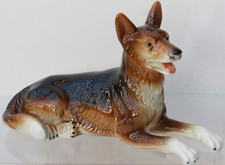 liegender Schäferhund