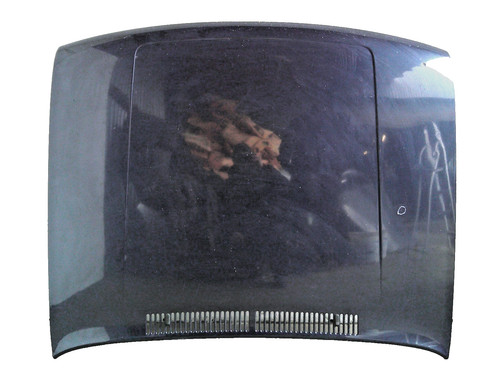 Motorhaube blau ln5y - blau, vw