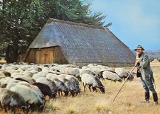 AK Lüneburger Heide