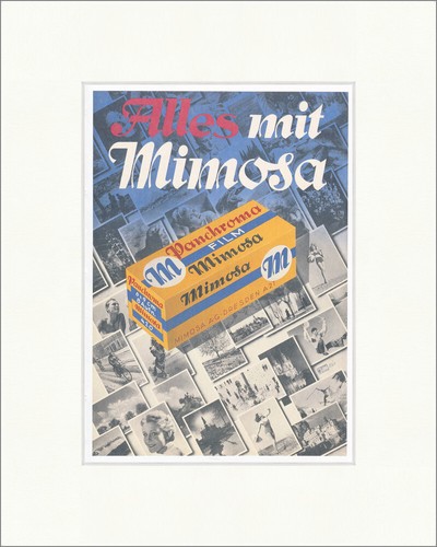 Alles mit mimosa dresden - mit,