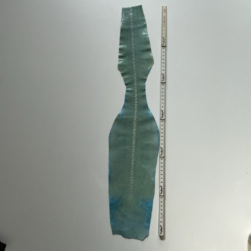 Rochen leder stingray fisch - stingray,