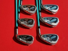 Wilson D300 Eisensatz 6 - SW