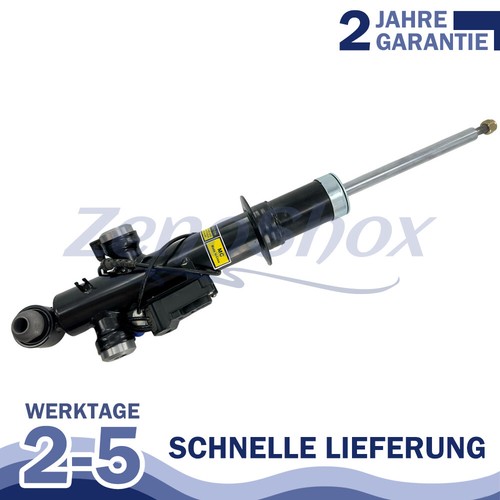 Hinten rechts stoßdämpfer - hinten,