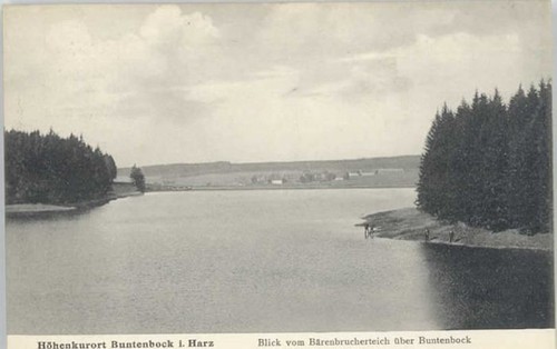 Buntenbock oberharz goslar - buntenbock,