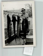 39905652 - Fish Fishing