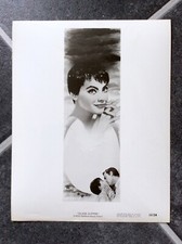 THE GLASS SLIPPER Orginal 55