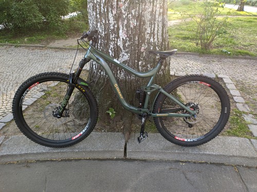 Giant reign custom - reign,